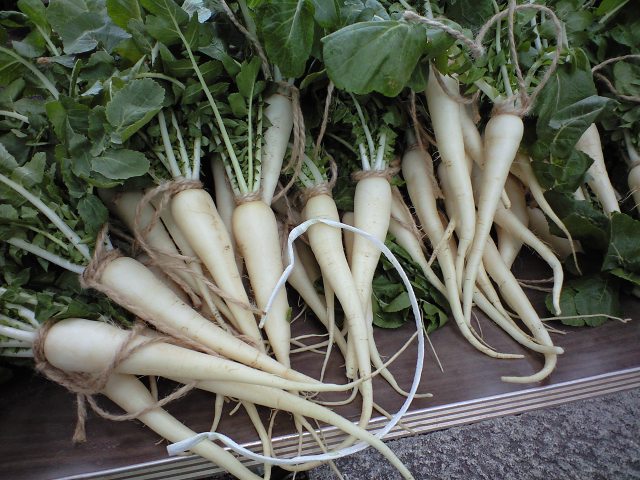 http://www.kameido5.com/blog/CA3A0364.JPG