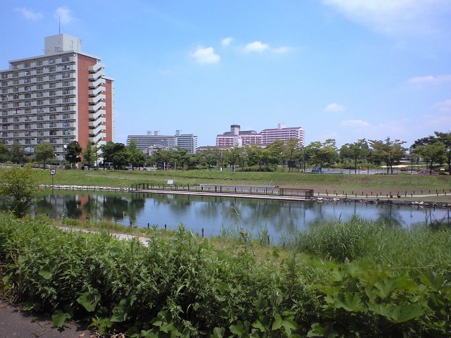 http://www.kameido5.com/blog/CA3A0584.JPG