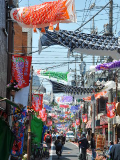 http://www.kameido5.com/blog/SSC_0046.JPG
