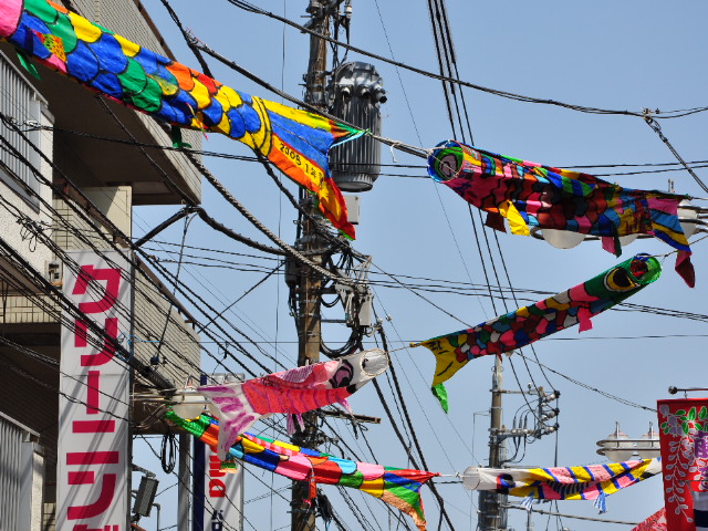 http://www.kameido5.com/blog/SSC_0145.JPG
