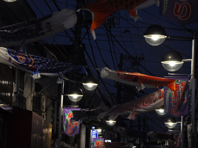 http://www.kameido5.com/blog/SSC_0573.JPG