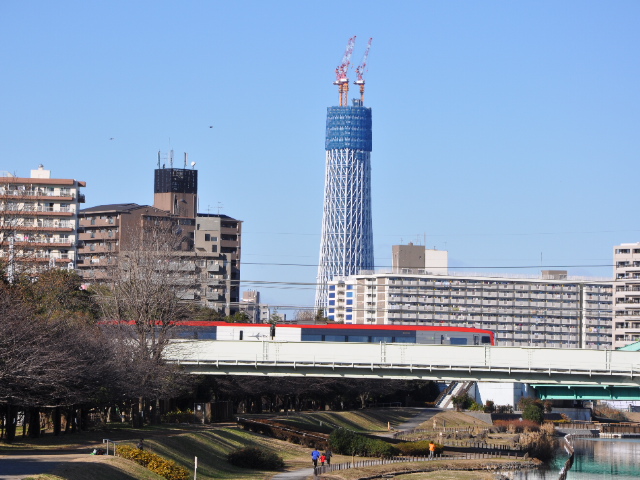 http://www.kameido5.com/blog/SSC_0866.JPG