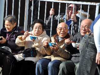 http://www.kameido5.com/blog/SSC_1014.JPG