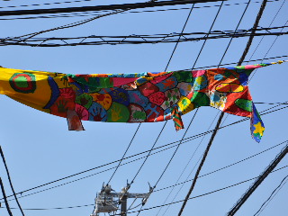 http://www.kameido5.com/blog/SSC_1549.JPG