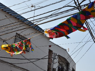 http://www.kameido5.com/blog/SSC_1550.JPG