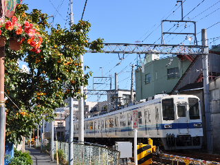 http://www.kameido5.com/blog/SSC_2151.JPG