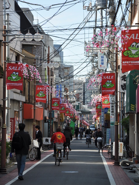 http://www.kameido5.com/blog/SSC_5461.JPG