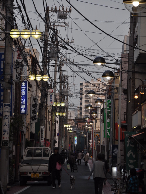 http://www.kameido5.com/blog/SSC_5874.JPG