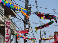 SSC_0145.JPG