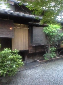 CA3A0535.JPG