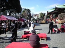 CA3A0839.JPG