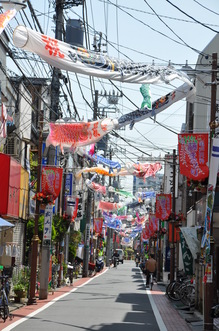 DSC_1521.JPG