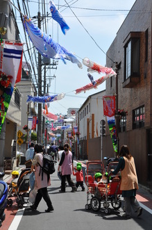 DSC_1531.JPG