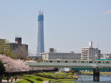 SSC_1387.JPG