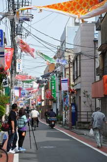 DSC_1601.JPG