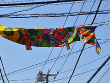 SSC_1549.JPG