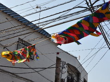 SSC_1550.JPG