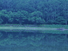 丸沼 001.jpg