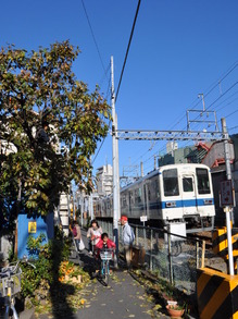 SSC_0955.JPG