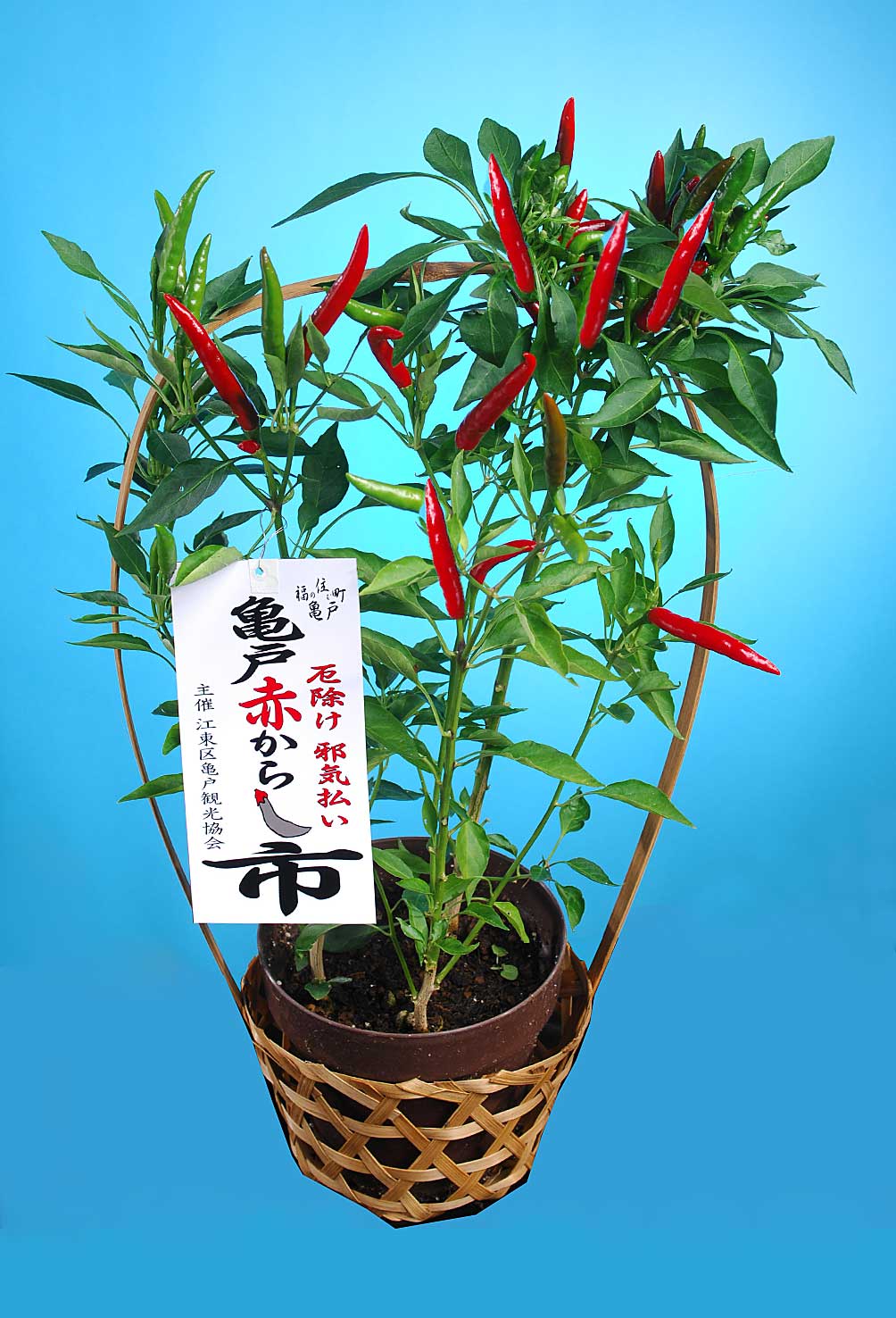 http://www.kameido5.com/blog/web-tougarasi.jpg