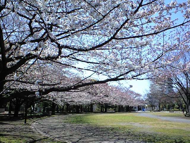 http://www.kameido5.com/map/CA3A0414.jpg