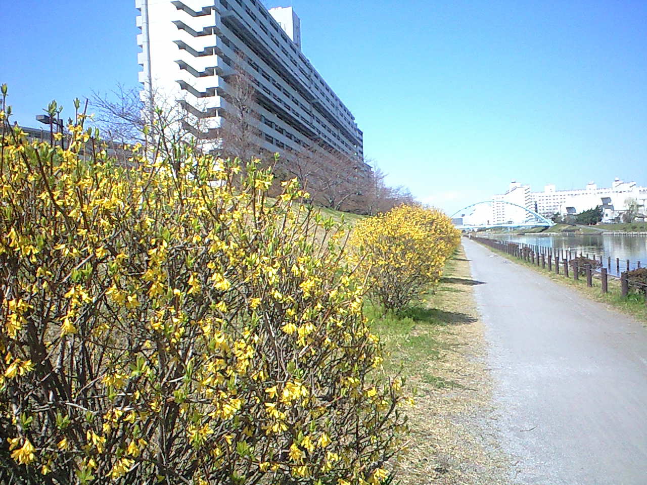 http://www.kameido5.com/map/CA3A0436.JPG