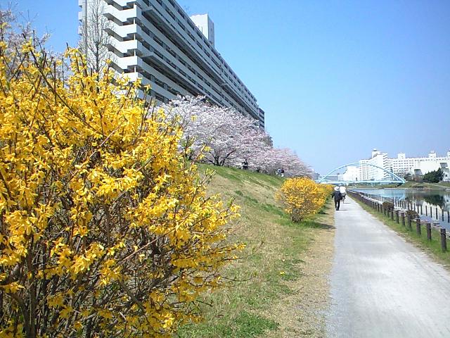 http://www.kameido5.com/map/CA3A0514.JPG