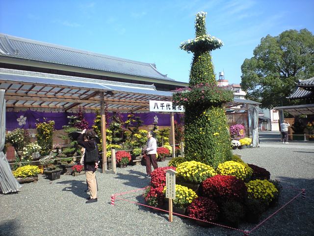 http://www.kameido5.com/map/CA3A0686.JPG