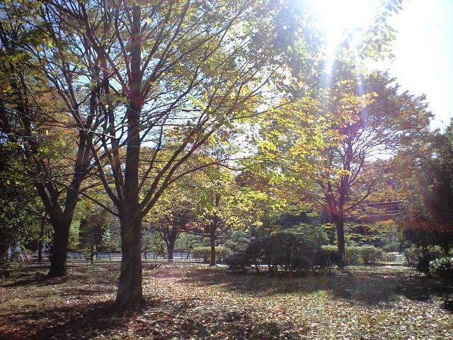 http://www.kameido5.com/map/CA3A0689.JPG