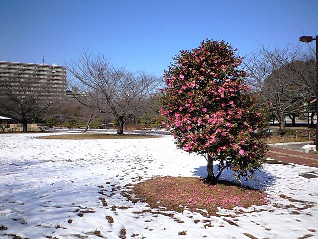 http://www.kameido5.com/map/CA3A0714.jpg