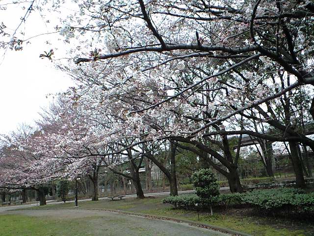 http://www.kameido5.com/map/CA3A0937.JPG