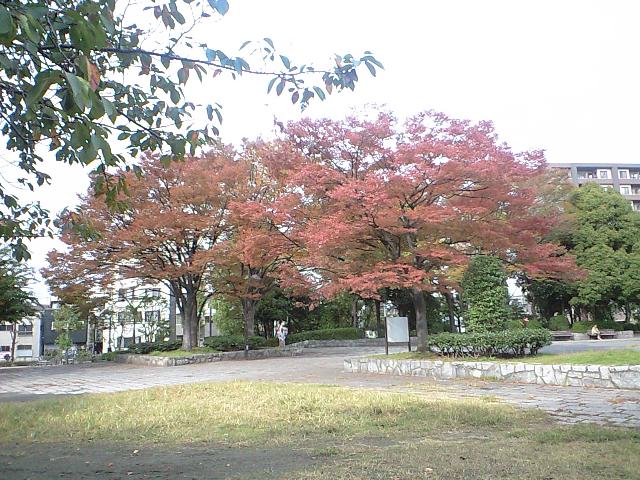 http://www.kameido5.com/map/CA3A1136.jpg