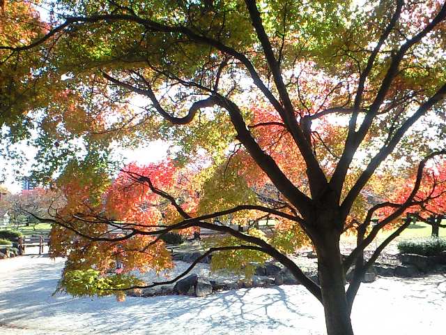 http://www.kameido5.com/map/CA3A1161.jpg