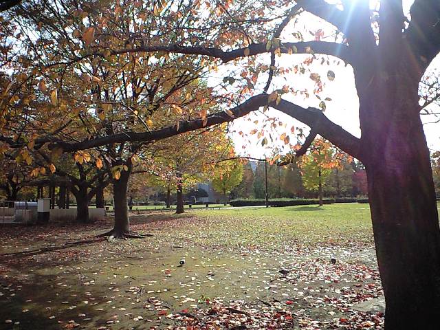 http://www.kameido5.com/map/CA3A1166.JPG