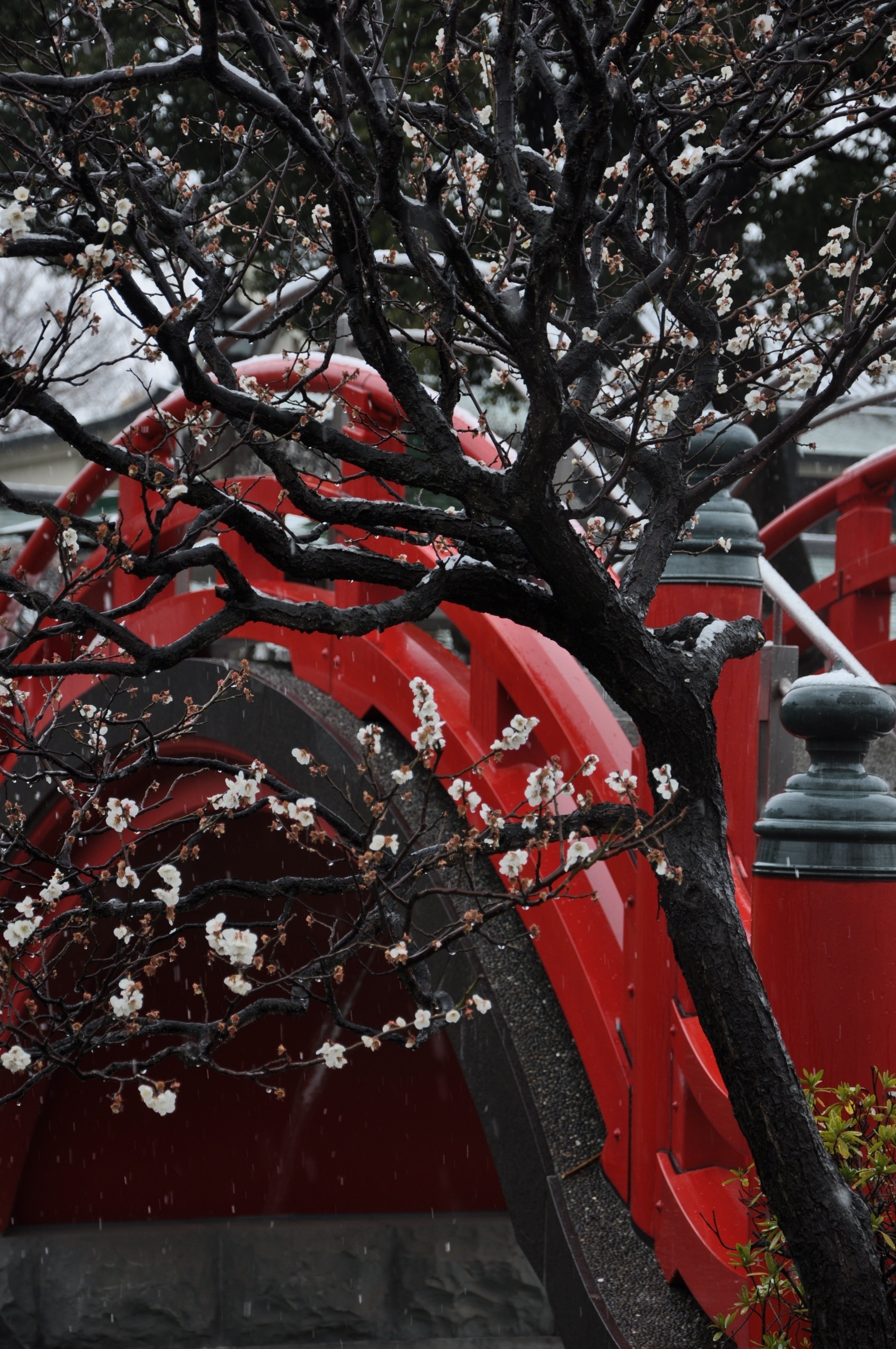 http://www.kameido5.com/map/DSC_0781.JPG