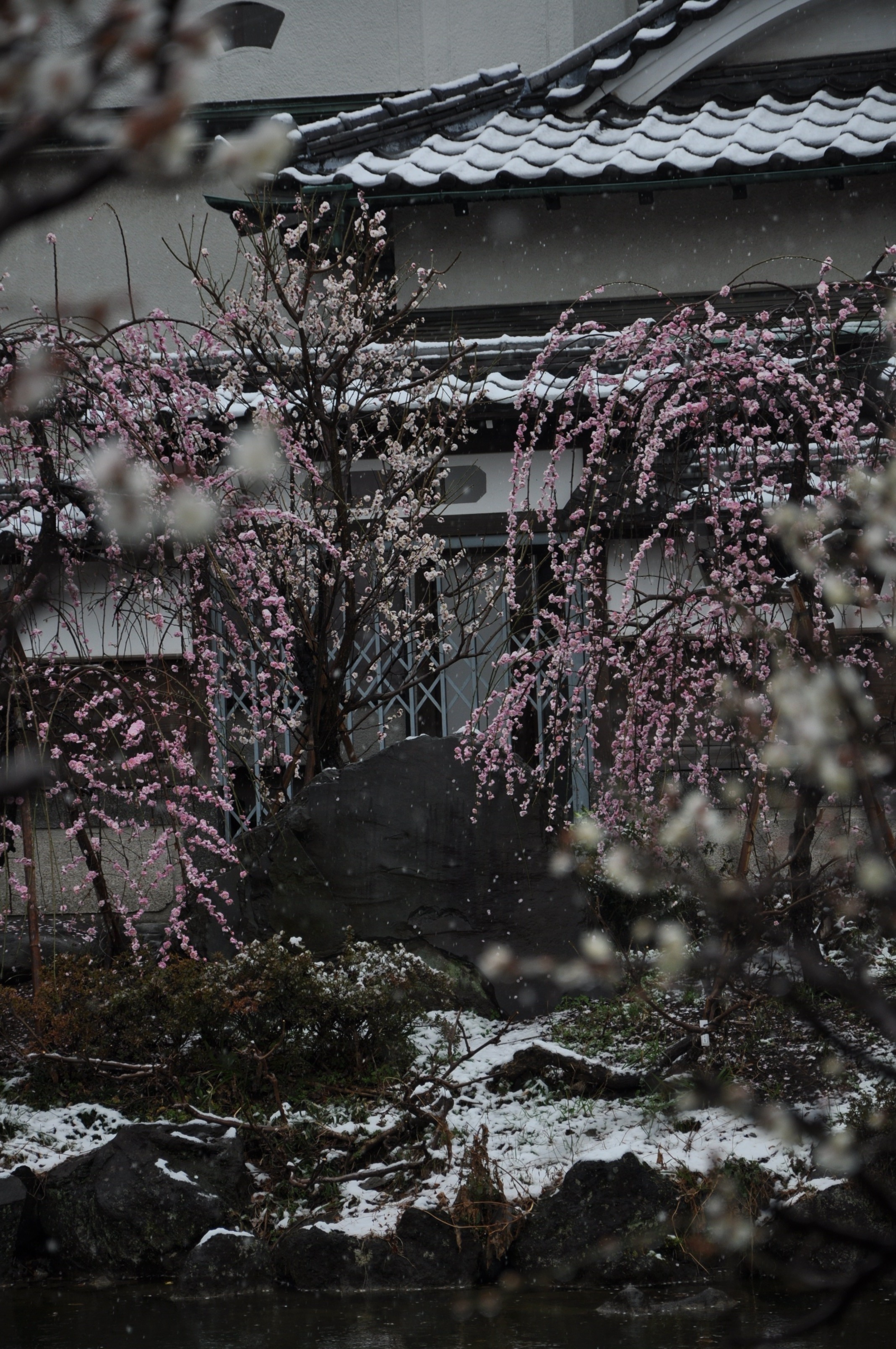 http://www.kameido5.com/map/DSC_0785.JPG