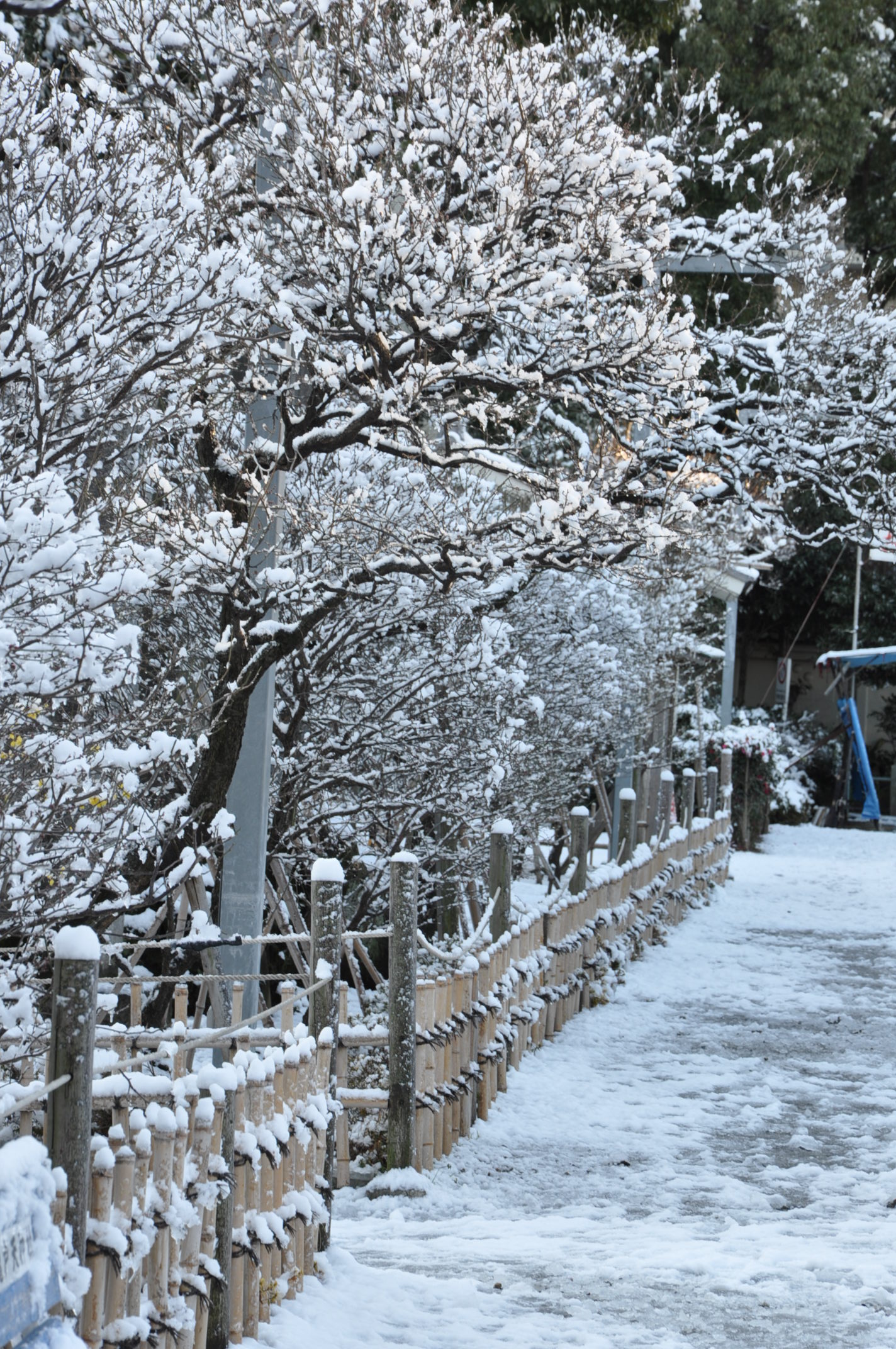 http://www.kameido5.com/map/DSC_5691.JPG