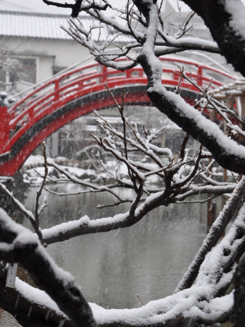 http://www.kameido5.com/map/SSC_0206.JPG