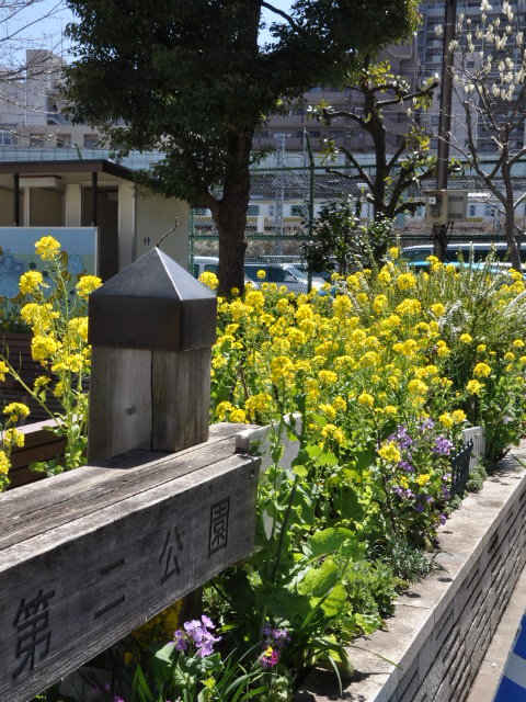 http://www.kameido5.com/map/SSC_0889.JPG