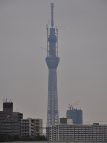 SSC_0551.JPG