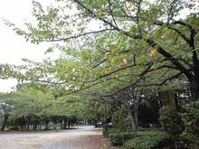 CA3A0655.JPG