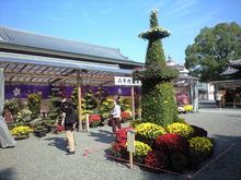 CA3A0686.JPG