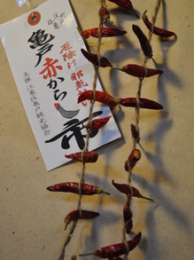 SSC_0191.JPG