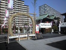 CA3A0761.JPG