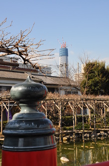 DSC_0940.JPG