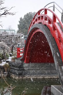 DSC_1257.JPG