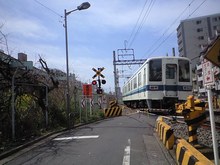 CA3A0919.JPG