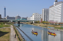 DSC_1344.JPG