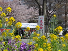 SSC_0251.JPG