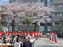 SSC_0252.JPG